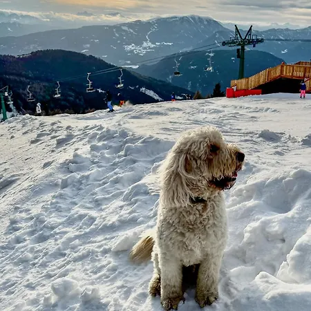 Chalet1500 Gerlitzen - In-ski Out! Kanzelhohe