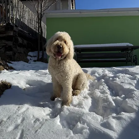 Appartamento Chalet1500 Gerlitzen - In - Out! *