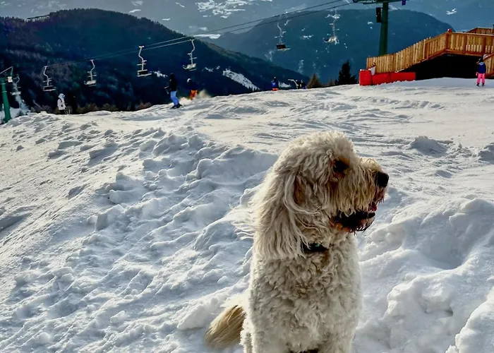 Chalet1500 Gerlitzen - In-ski Out! Kanzelhohe